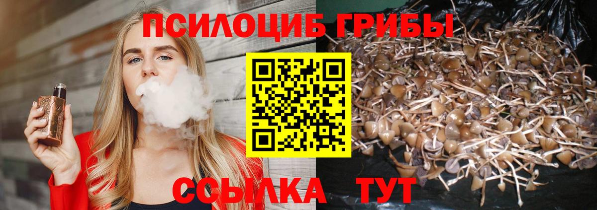 Скопин  Псилоцибиновые грибы Psilocybe  Псилоцибиновые грибы Cubensis  Вход с VPN 