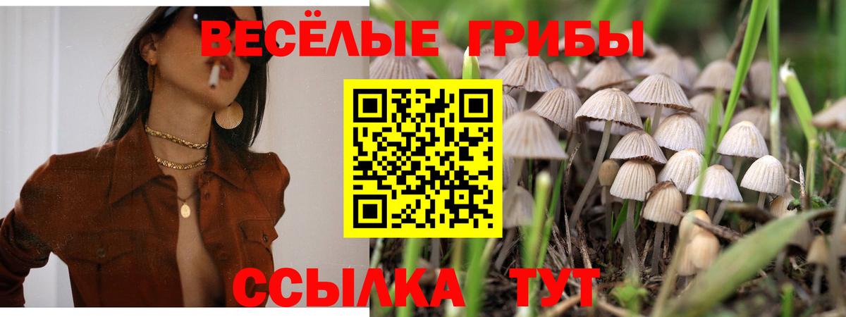 Псилоцибиновые грибы Magic Shrooms Скопин